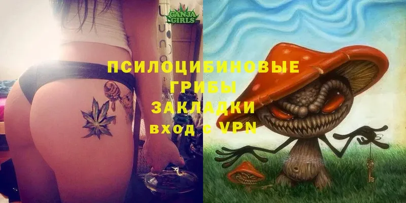 Галлюциногенные грибы Psilocybe  хочу   Дмитров 